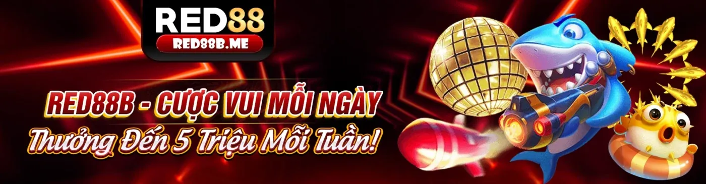 Các lợi ích khi tham gia momo88